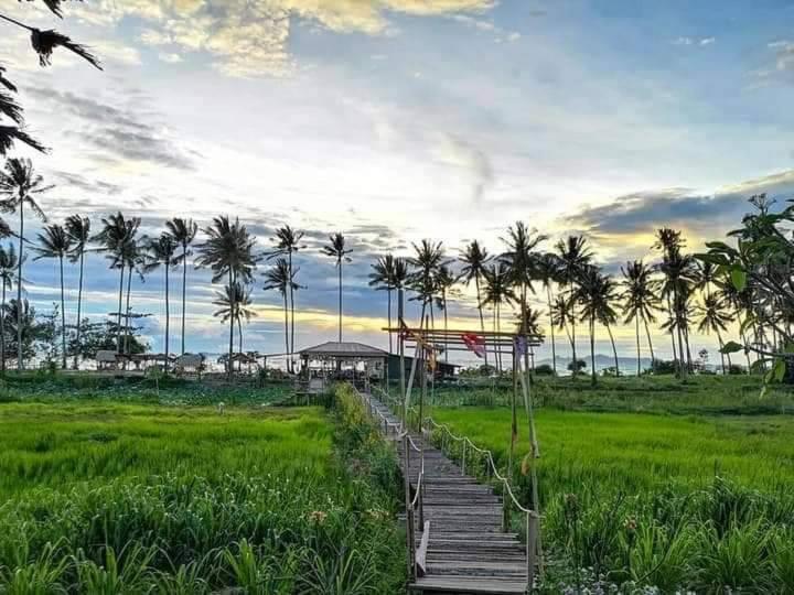 Hotel I - Talay Taling Ngam Samui - เขา ป่า นา เล ตลิ่งงาม สมุย Exterior foto